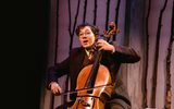 A person is playing a cello on stage.