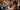 Photograph focusing on oboe players playing as part of an orchestra.