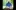 Photograph of Tabla player - Hardeep Deerhe (Sodhi) with Tabla